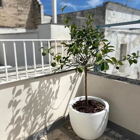 Palazzo Gargano דירה מונופולי